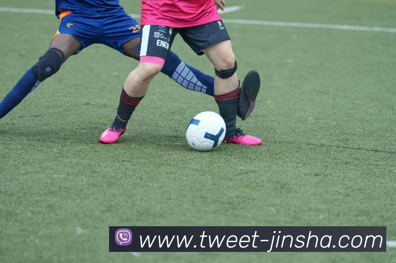 金沙娱乐城平台生态图